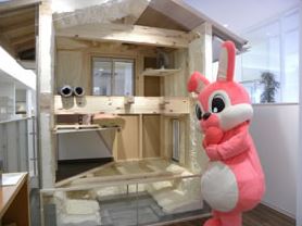 展示場の横に構造や素材がわかるショールームを併設しておりますので、家の気になる部分を実際のサンプルを見ながらご説明いたします!