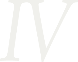 Ⅳ