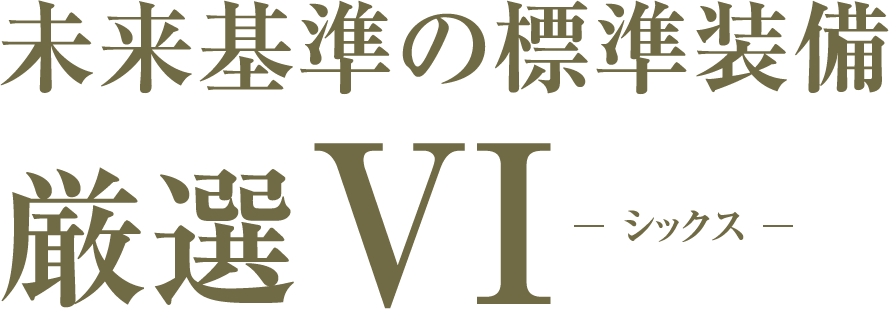 未来基準の標準装備 厳選VI