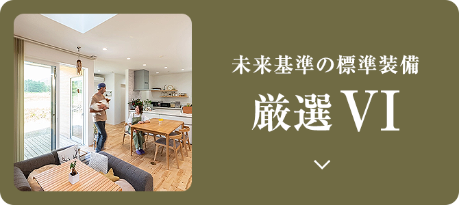 未来基準の標準装備 厳選VI