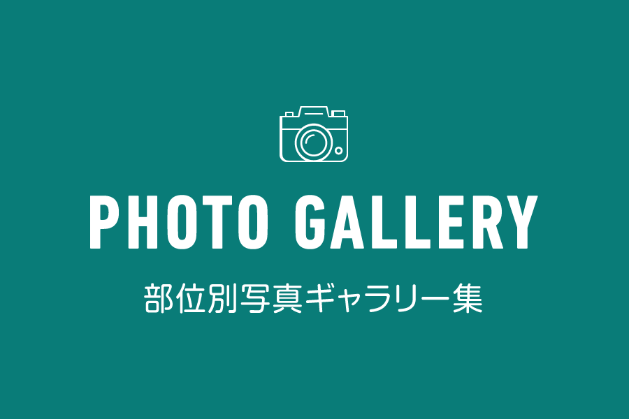 部位別写真ギャラリー集