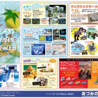 あづみの住宅公園イベント開催！