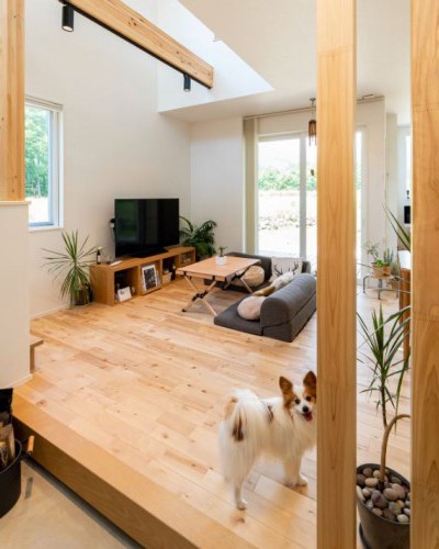 ペットの安全と健康を守れる住まい